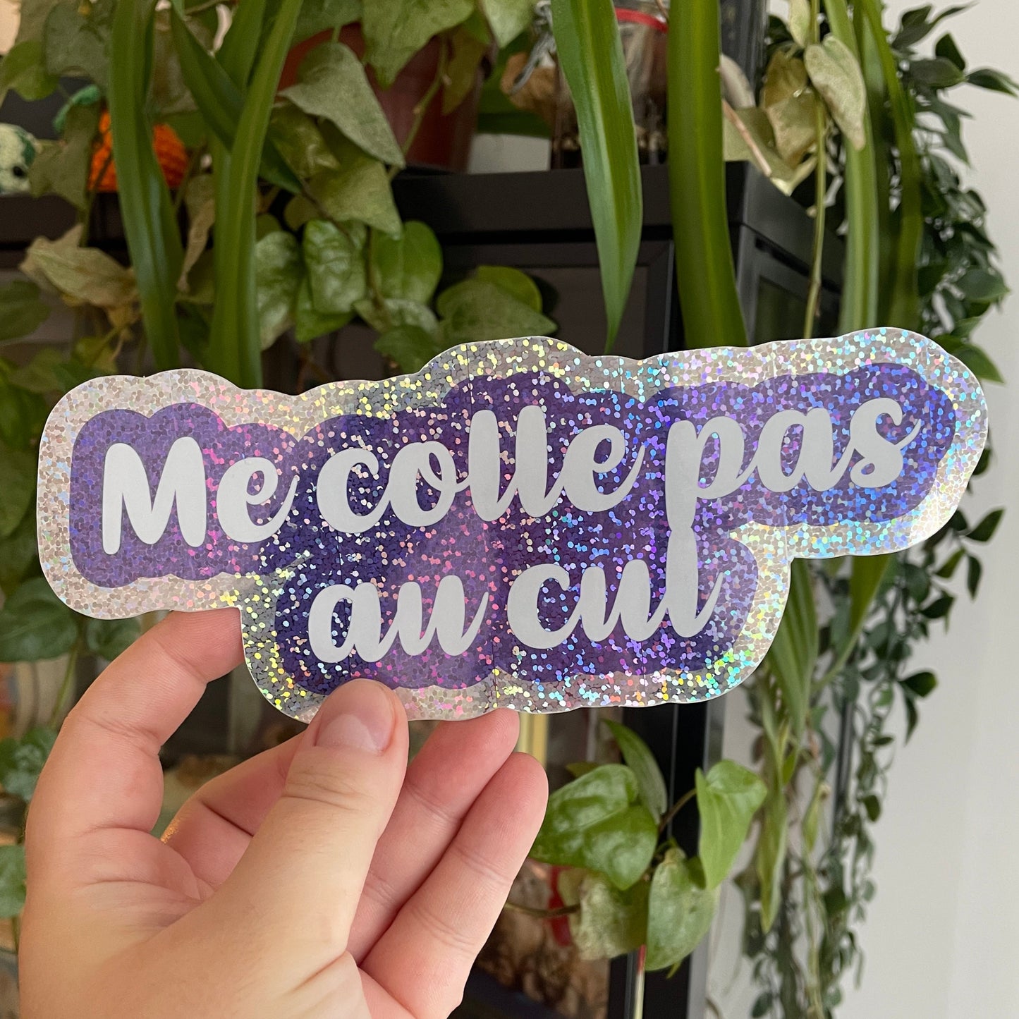 Sticker pour voiture "Me colle pas au cul"