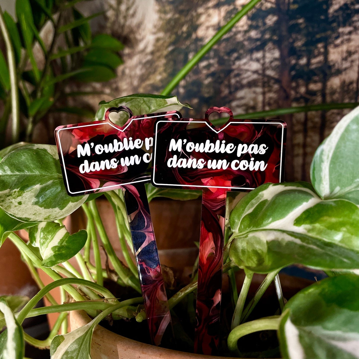 Pic à plante "M'oublie pas dans un coin" en acrylique marbrée rouge/rose, noire, blanche et transparente