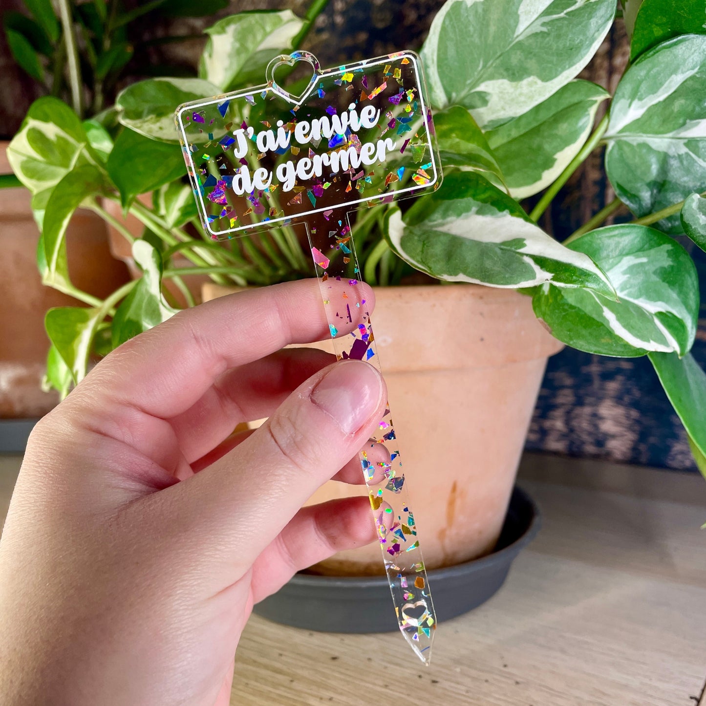 Pic à plante "J'ai envie de germer" en acrylique transparente avec des éclats de confettis multicolores