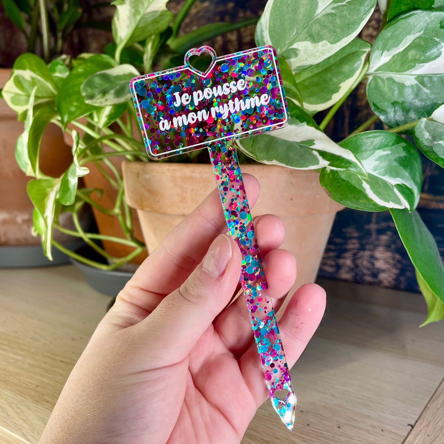 Pic à plante "Je pousse à mon rythme" en acrylique à pois roses et bleus