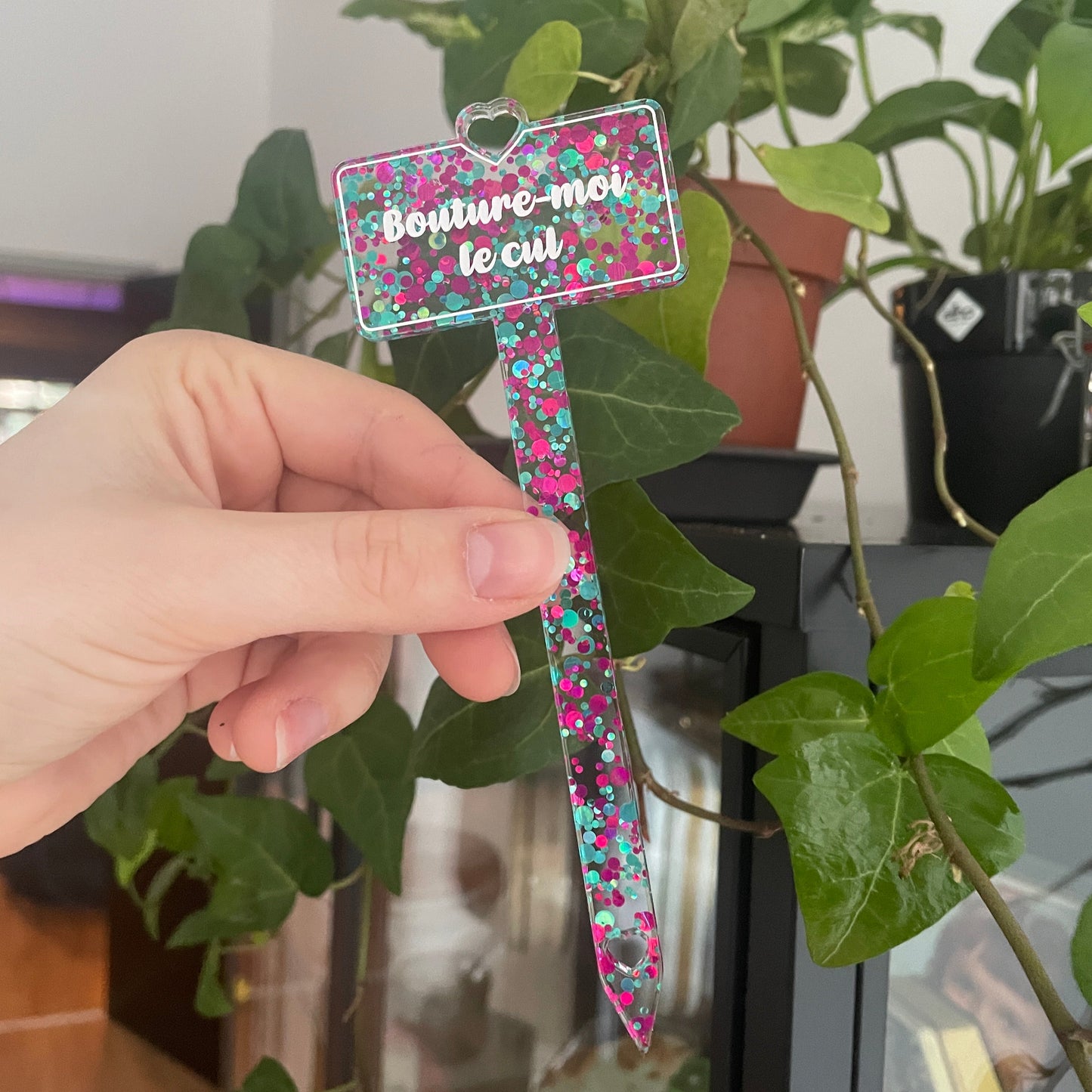Pic à plante "Bouture-moi le cul" en acrylique à pois roses et bleus