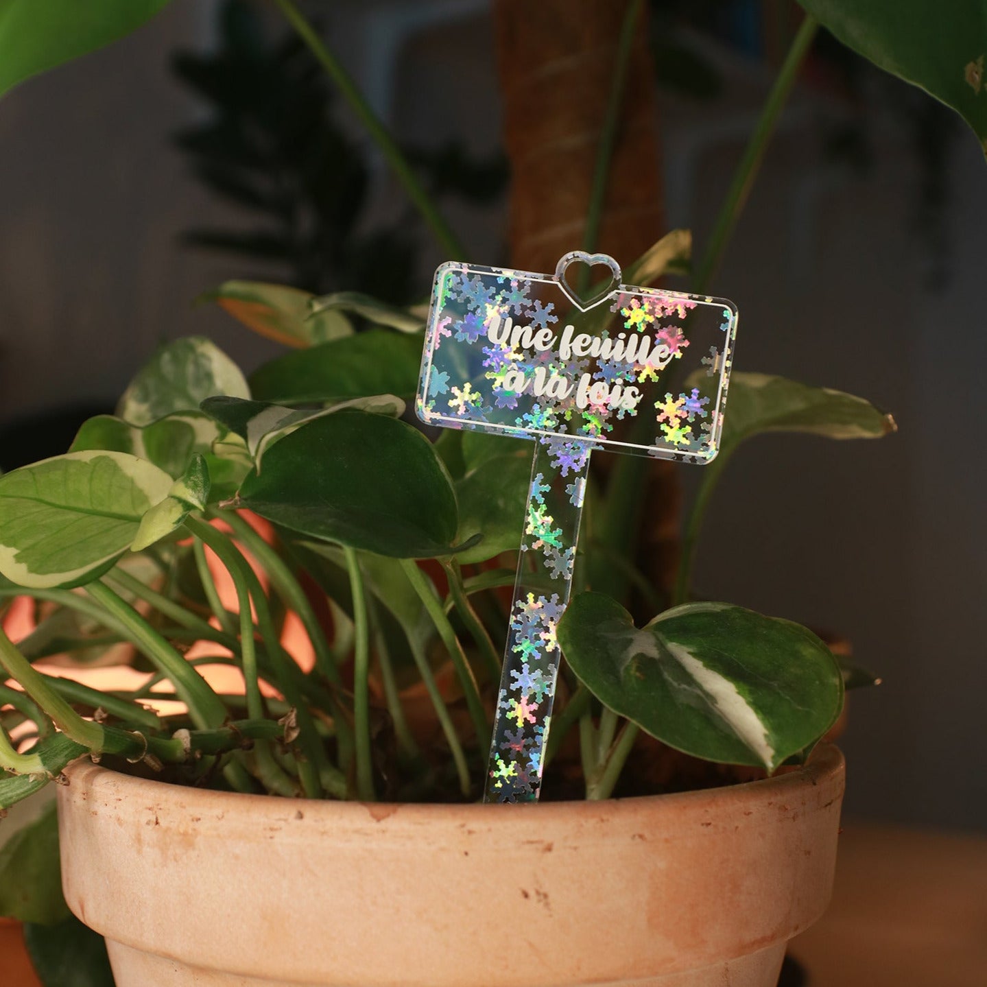 Pic à plante "Une feuille à la fois" en acrylique transparente avec des flocons holographiques