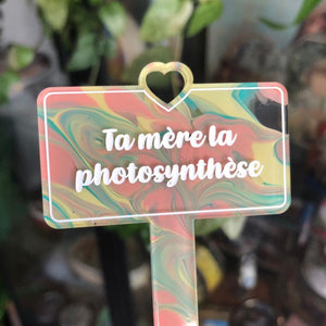 [CONTRÔLE TECHNIQUE] Pic à plante "Ta mère la photosynthèse" en acrylique marbrée jaune et orange
