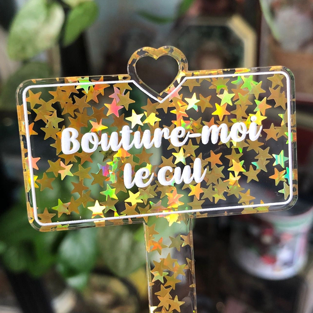 Pic à plante "Bouture-moi le cul" en acrylique transparente à confettis étoiles