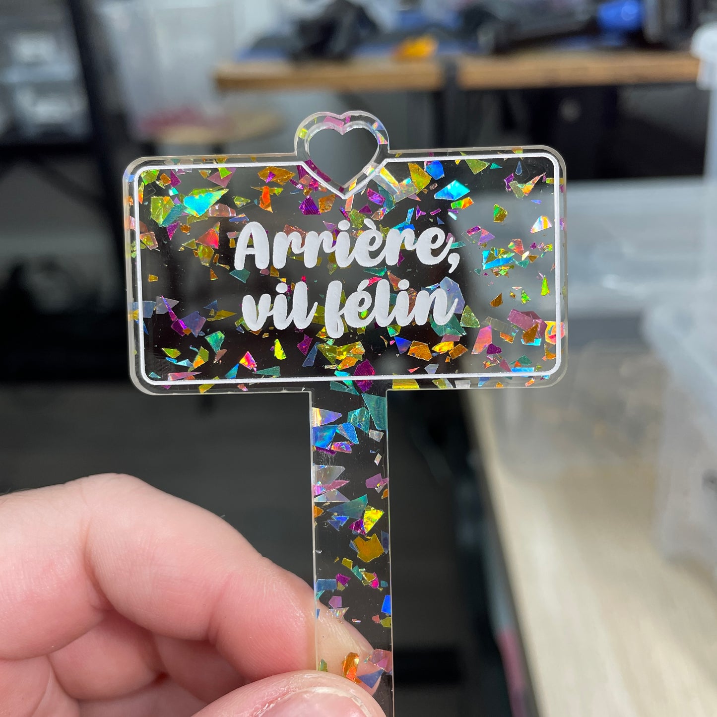 [CONTRÔLE TECHNIQUE] Pic à plante "Arrière, vil félin" en acrylique transparente avec des éclats de confettis multicolores