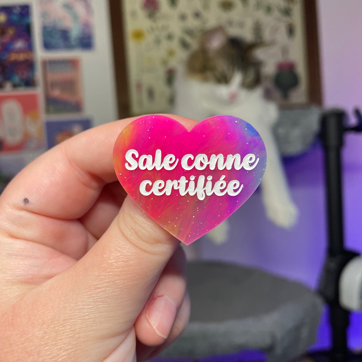 [Contrôle technique] Broche "Sale conne certifiée" en acrylique marbrée multicolore