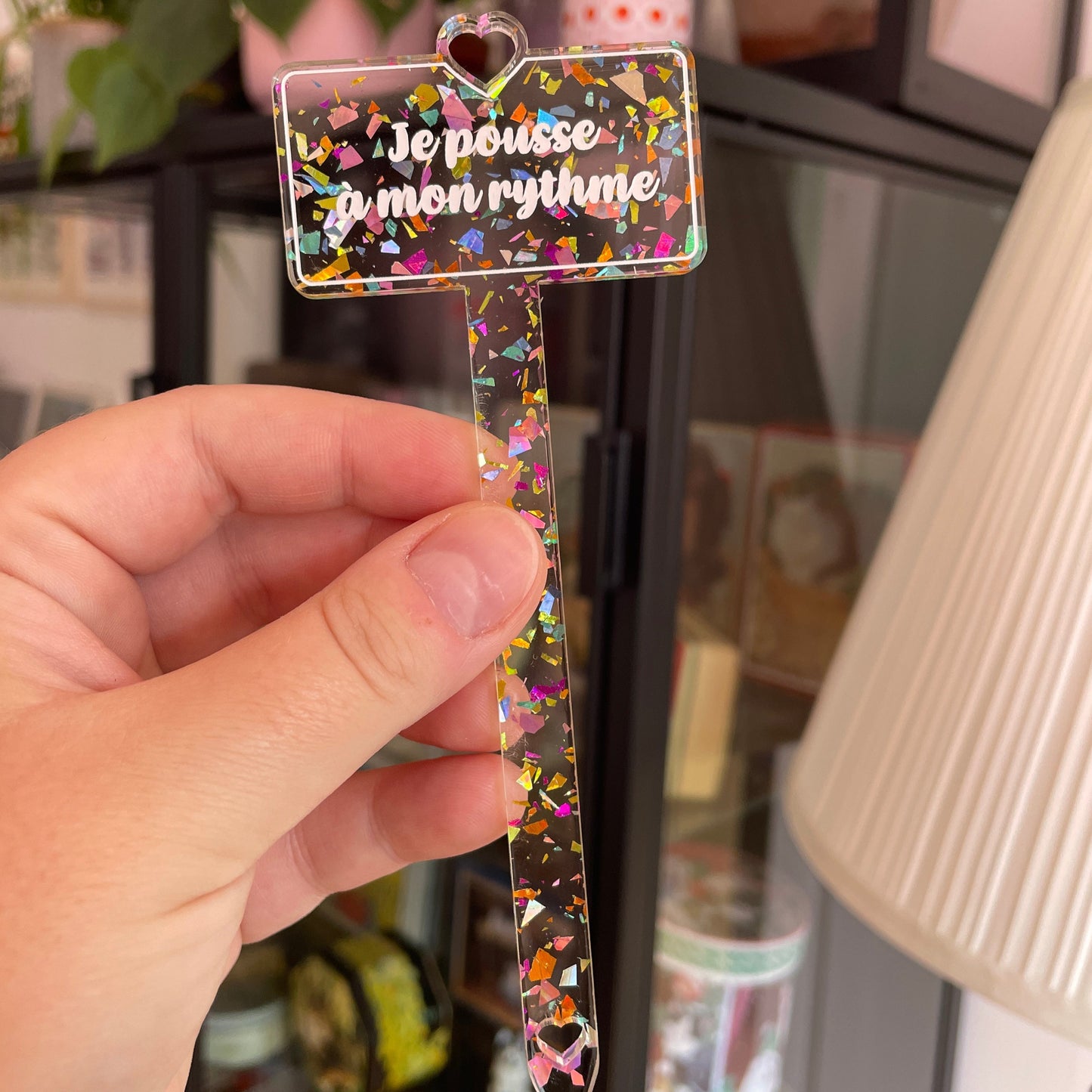 [CONTRÔLE TECHNIQUE] Pic à plante "Je pousse à mon rythme" en acrylique transparente avec des éclats de confettis multicolores