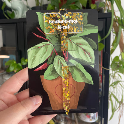 Pic à plante "Bouture-moi le cul" en acrylique transparente à confettis étoiles