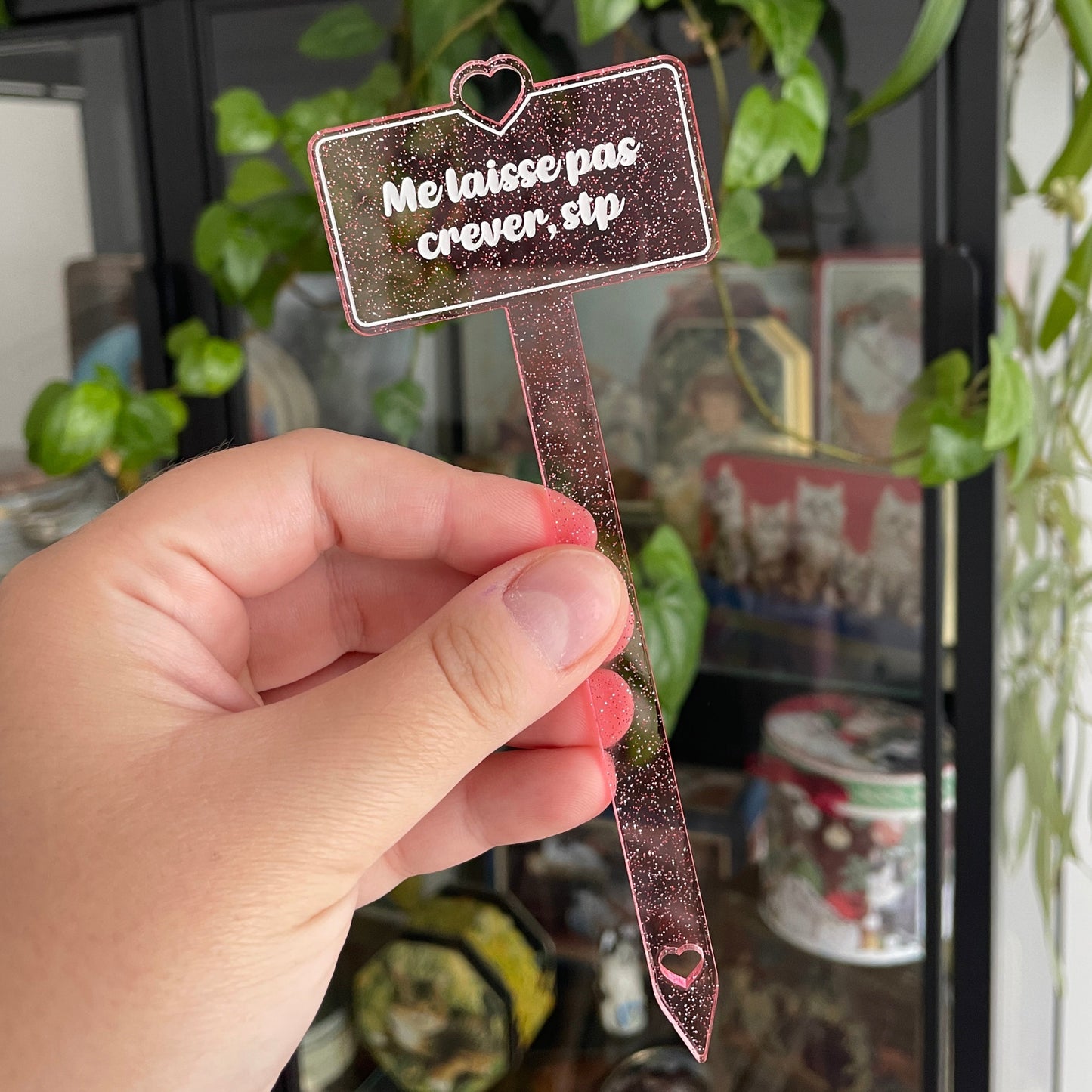 [CONTRÔLE TECHNIQUE] Pic à plante "Me laisse pas crever stp" en acrylique transparente rose à paillettes