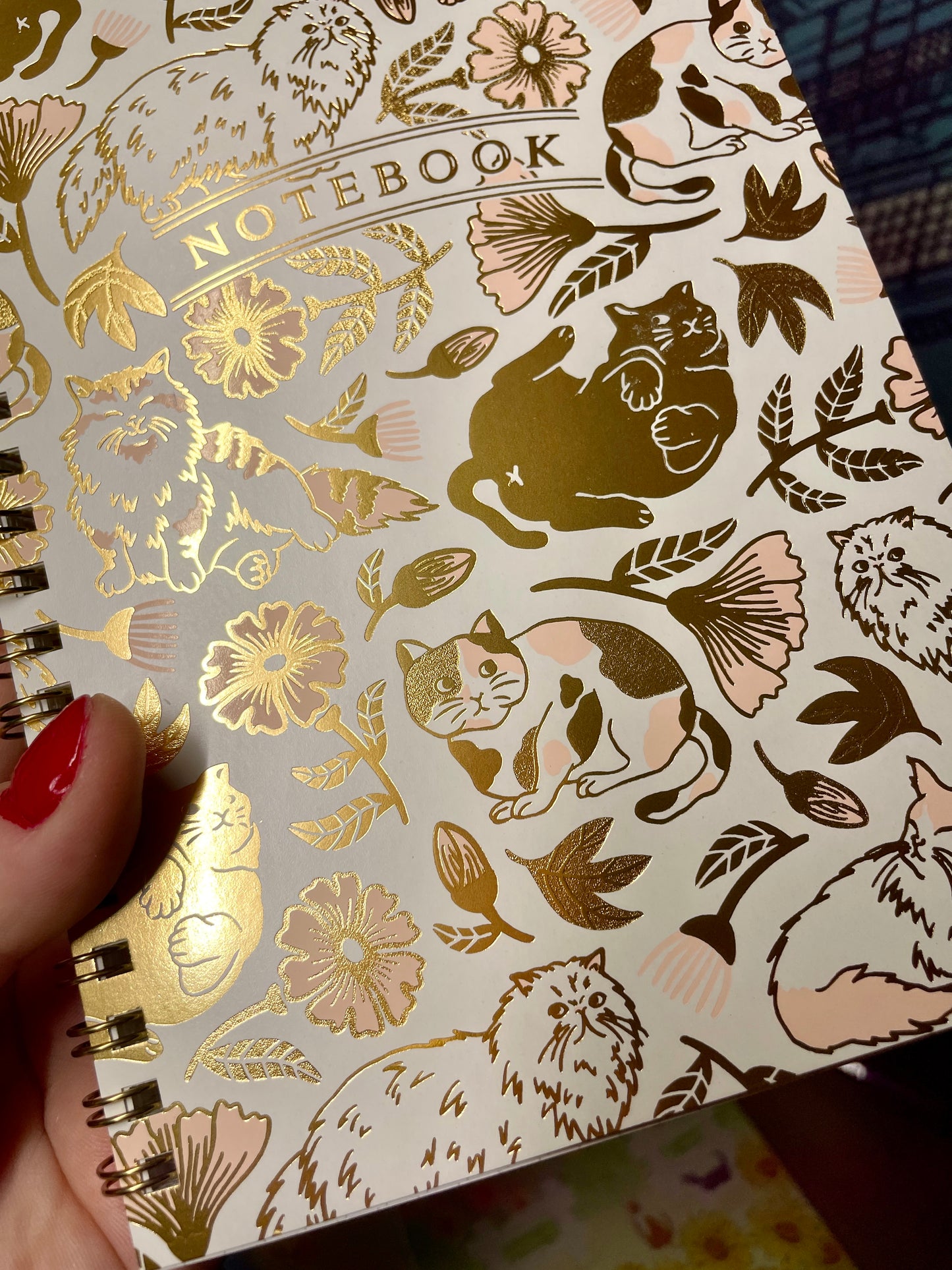 🐈‍⬛ Cahier Rokkaku "Une multitude de chats, genre vraiment plein de chats" 🐈‍⬛