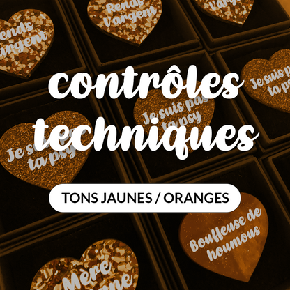 Broches "Contrôle technique" dans les tons jaunes/oranges