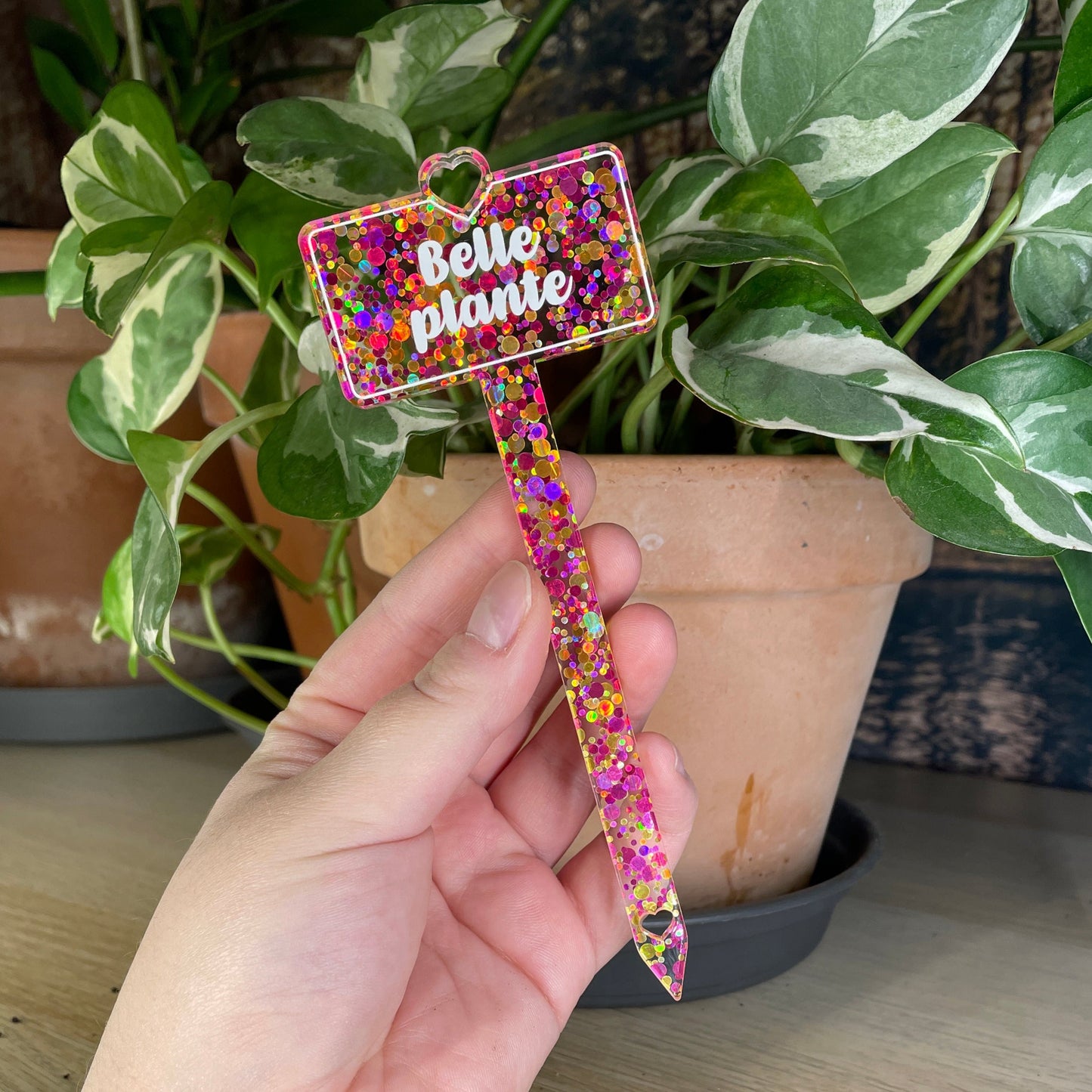 [CONTRÔLE TECHNIQUE] Pic à plante "Belle plante" en acrylique à pois jaunes et roses