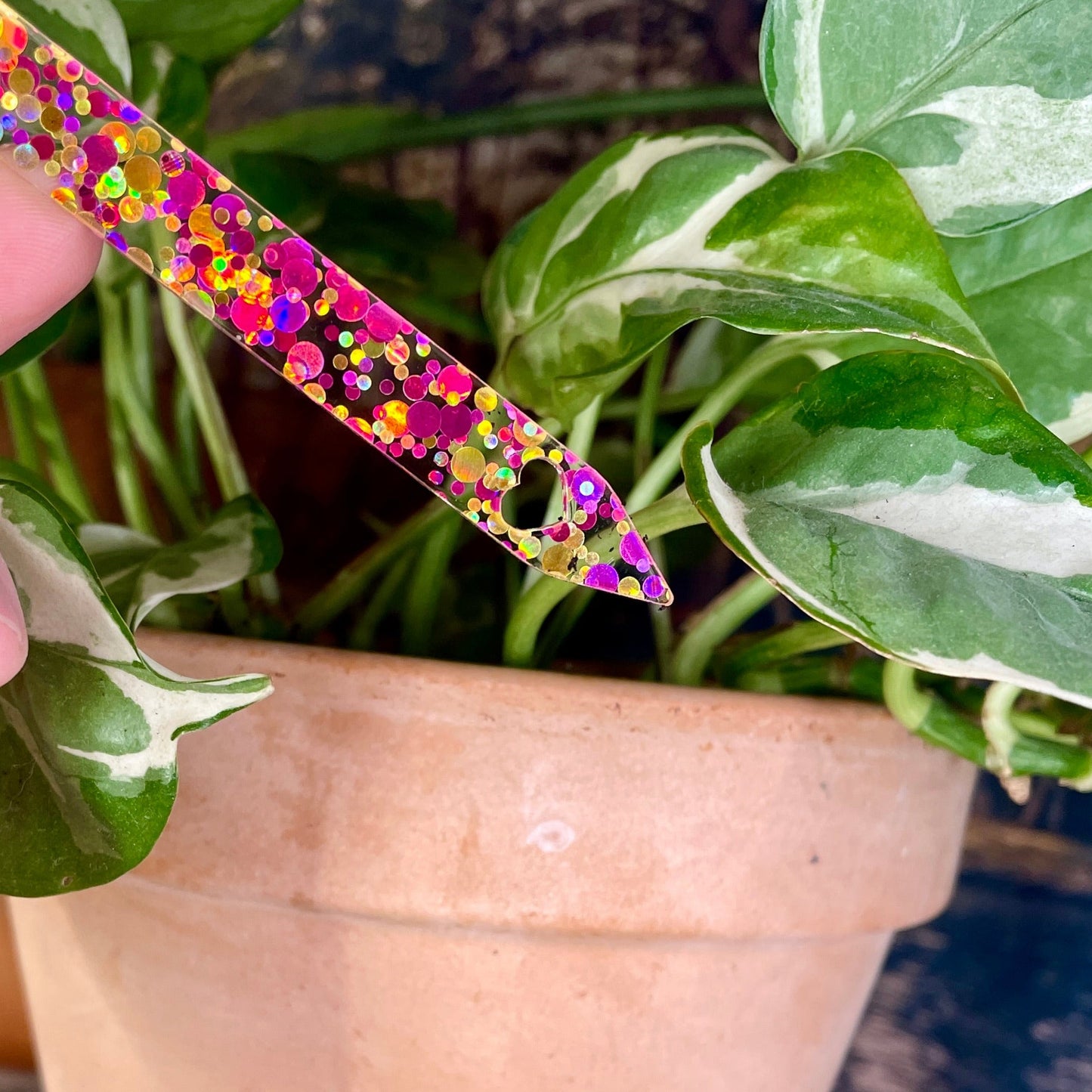 [CONTRÔLE TECHNIQUE] Pic à plante "Belle plante" en acrylique à pois jaunes et roses