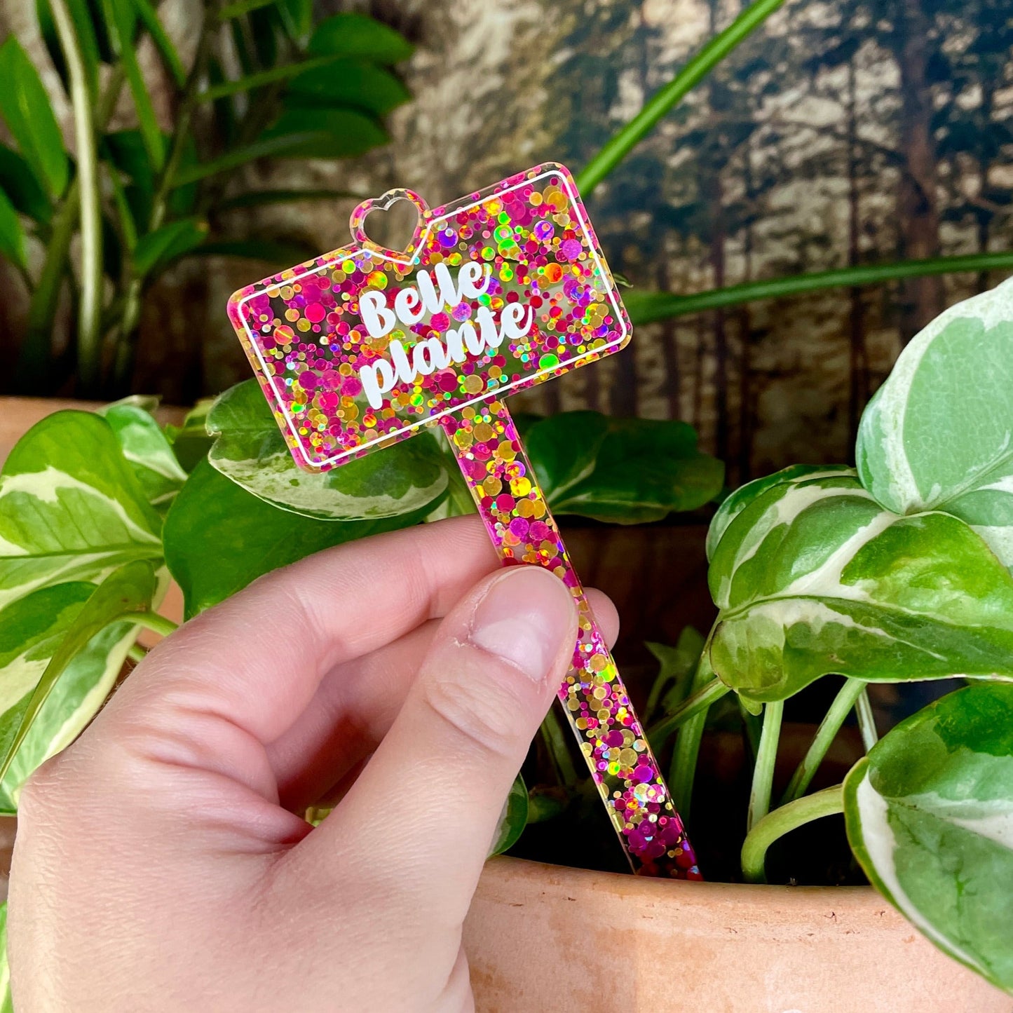 [CONTRÔLE TECHNIQUE] Pic à plante "Belle plante" en acrylique à pois jaunes et roses