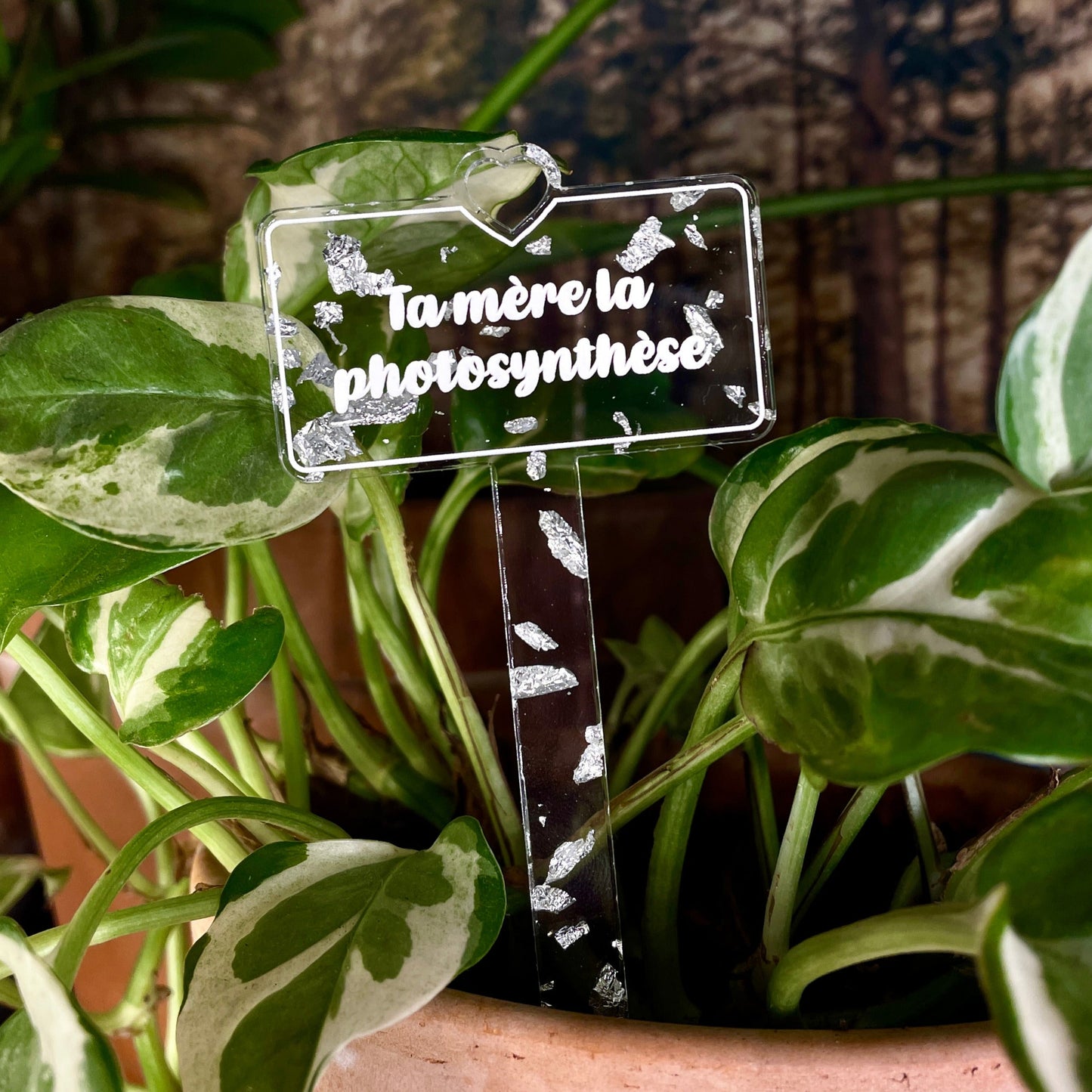 [CONTRÔLE TECHNIQUE] Pic à plante "Ta mère la photosynthèse" en acrylique transparente à confettis argentés