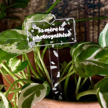 Charger l&#39;image dans la galerie, [CONTRÔLE TECHNIQUE] Pic à plante &quot;Ta mère la photosynthèse&quot; en acrylique transparente à confettis argentés