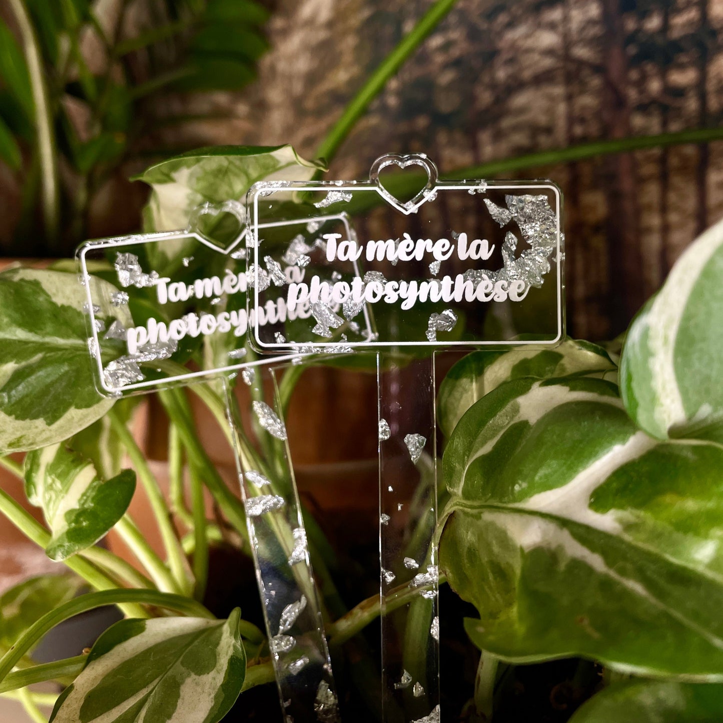 Pic à plante "Ta mère la photosynthèse" en acrylique transparente à confettis argentés