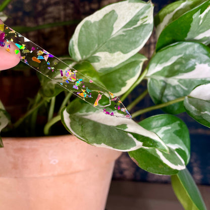 Pic à plante "Me laisse pas crever, stp" en acrylique transparente avec des éclats de confettis multicolores
