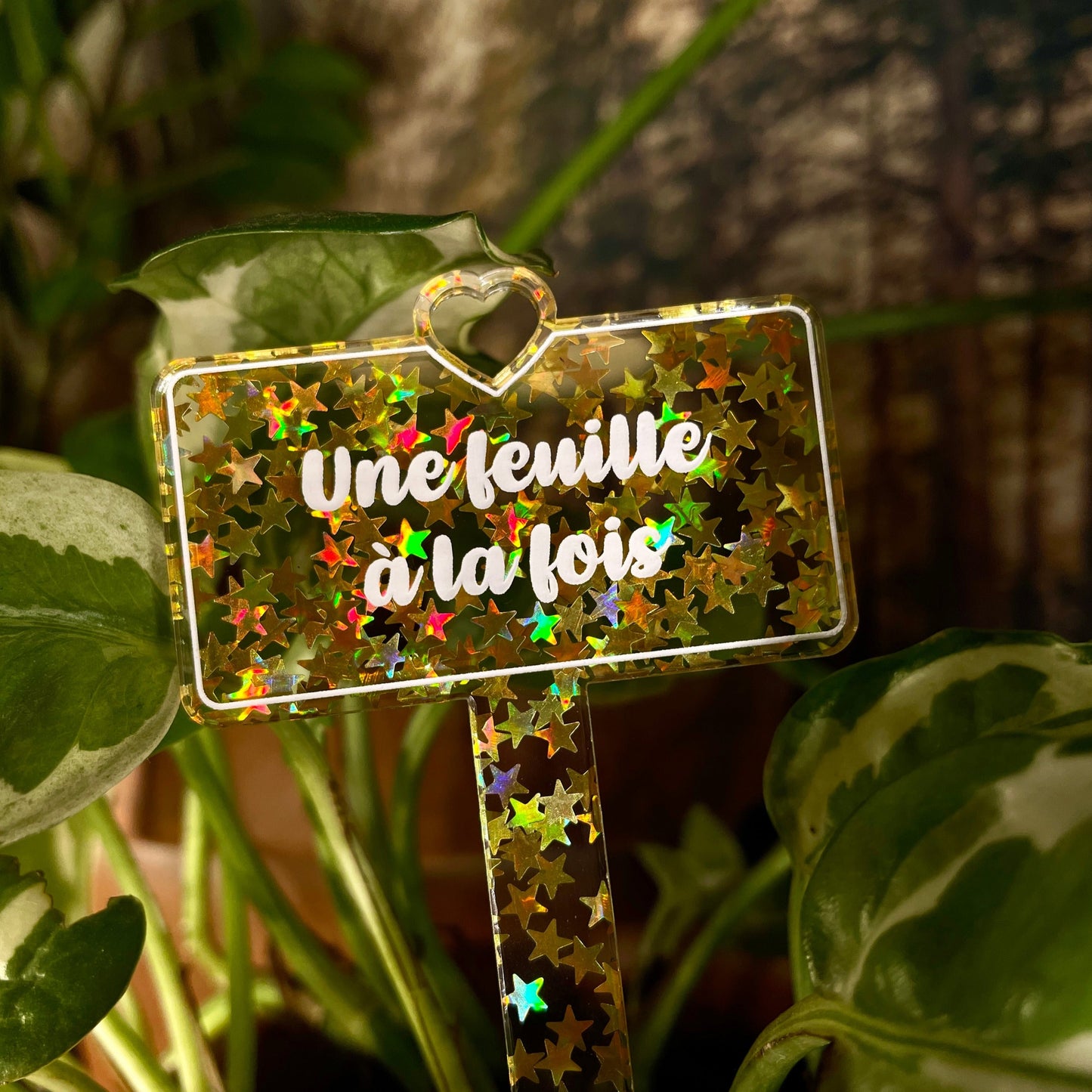 [CONTRÔLE TECHNIQUE] Pic à plante "Une feuille à la fois" en acrylique transparente avec des étoiles dorées