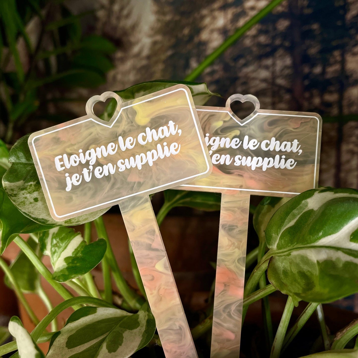 [CONTRÔLE TECHNIQUE] Pic à plante "Eloigne le chat, je t'en supplie" en acrylique marbrée jaune et orange