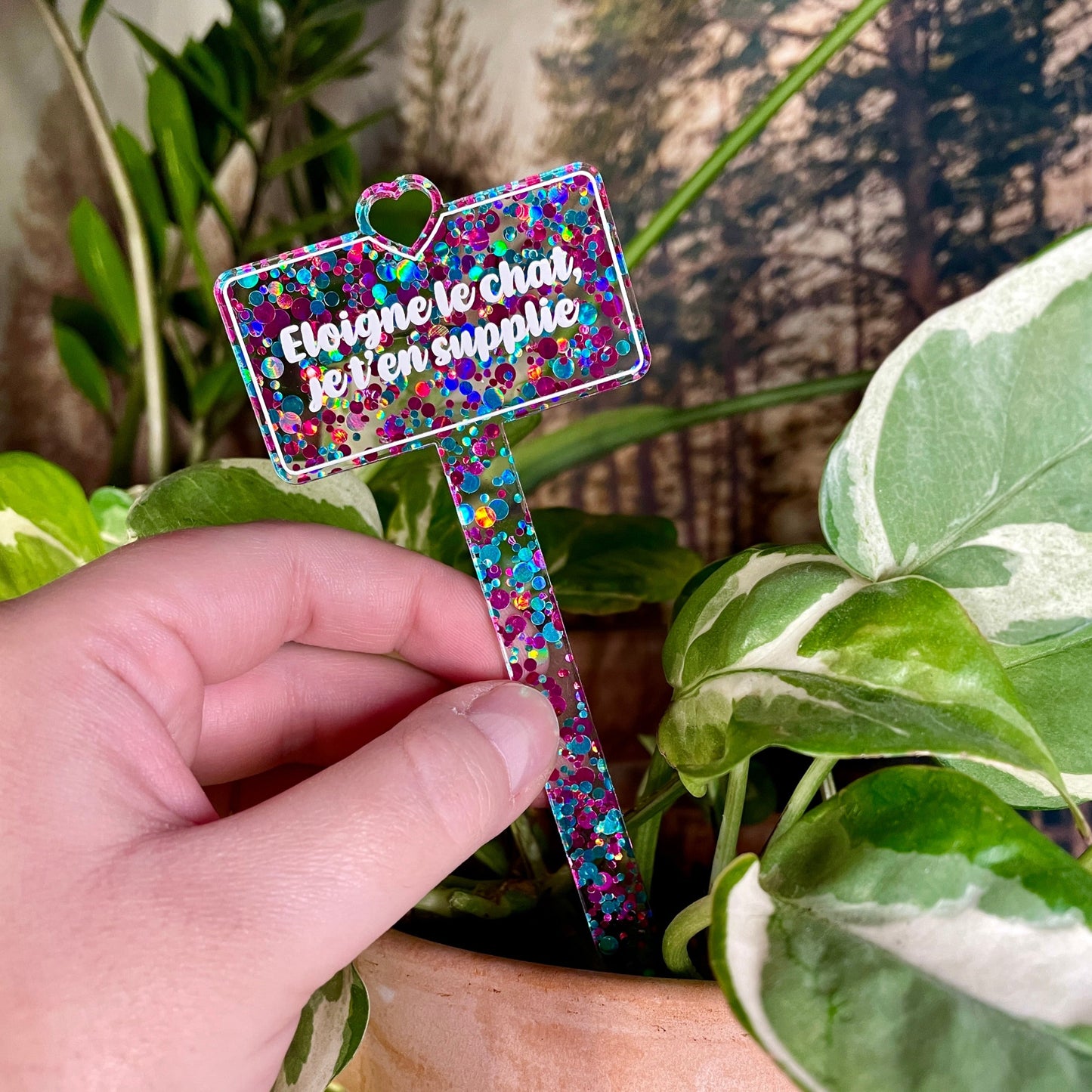 [CONTRÔLE TECHNIQUE] Pic à plante "Eloigne le chat, je t'en supplie" en acrylique à pois roses et bleus