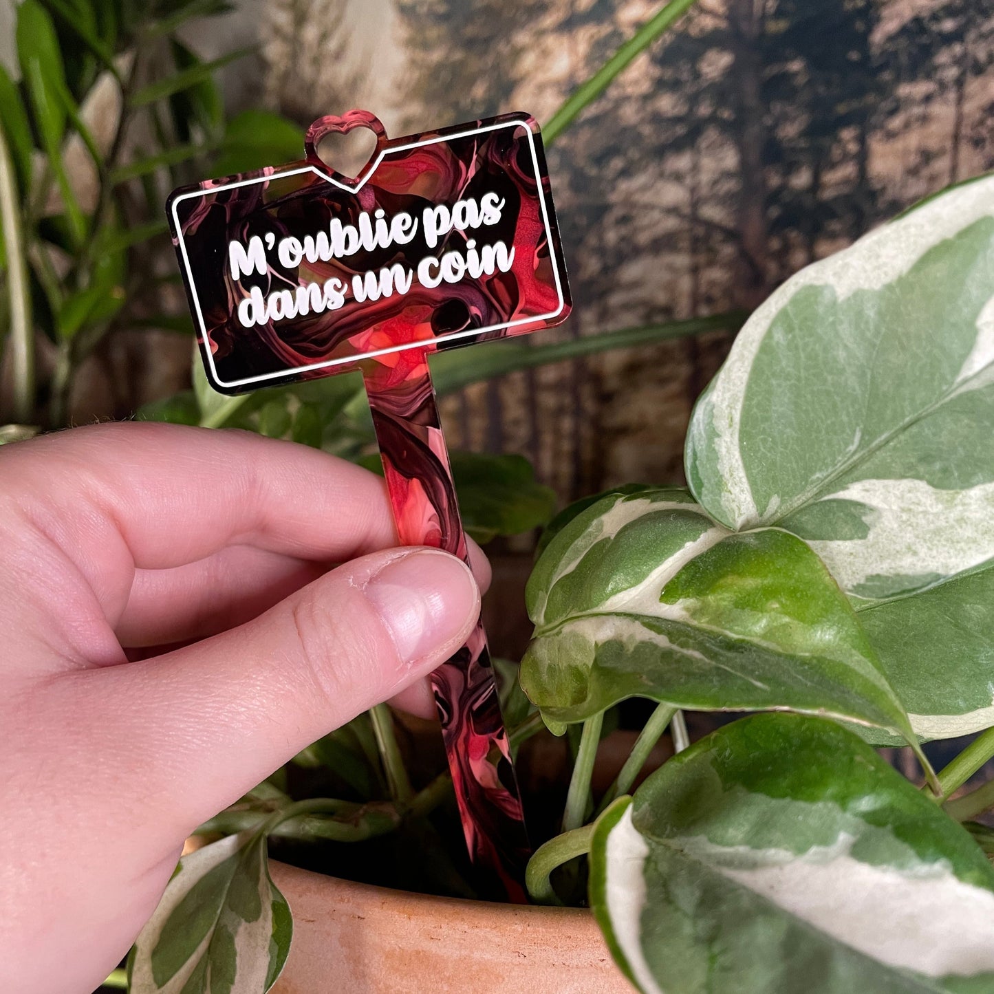 [CONTRÔLE TECHNIQUE] Pic à plante "M'oublie pas dans un coin" en acrylique marbrée rouge/rose, noire, blanche et transparente