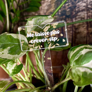 Pic à plante "Me laisse pas crever, stp" en acrylique transparente avec des paillettes dorées