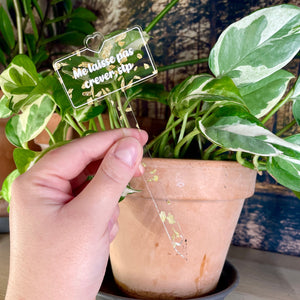 Pic à plante "Me laisse pas crever, stp" en acrylique transparente avec des paillettes dorées