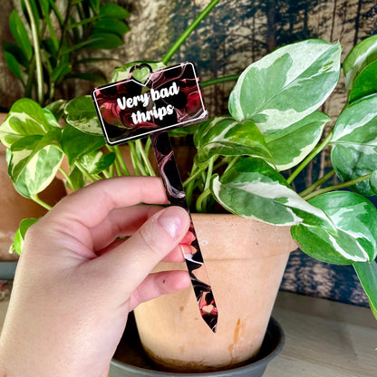 [CONTRÔLE TECHNIQUE] Pic à plante "Very bad thrips" en acrylique marbrée rouge/rose, noire, blanche et transparente