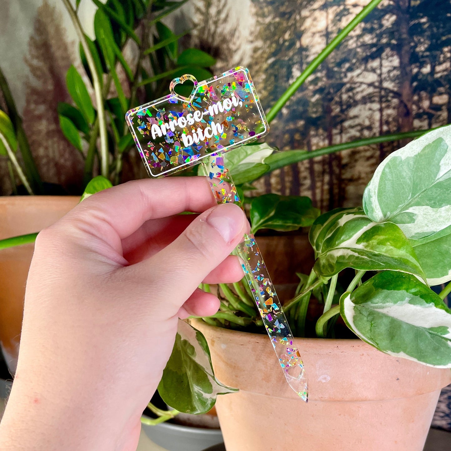 [CONTRÔLE TECHNIQUE] Pic à plante "Arrose-moi, bitch" en acrylique transparente avec des éclats de confettis multicolores