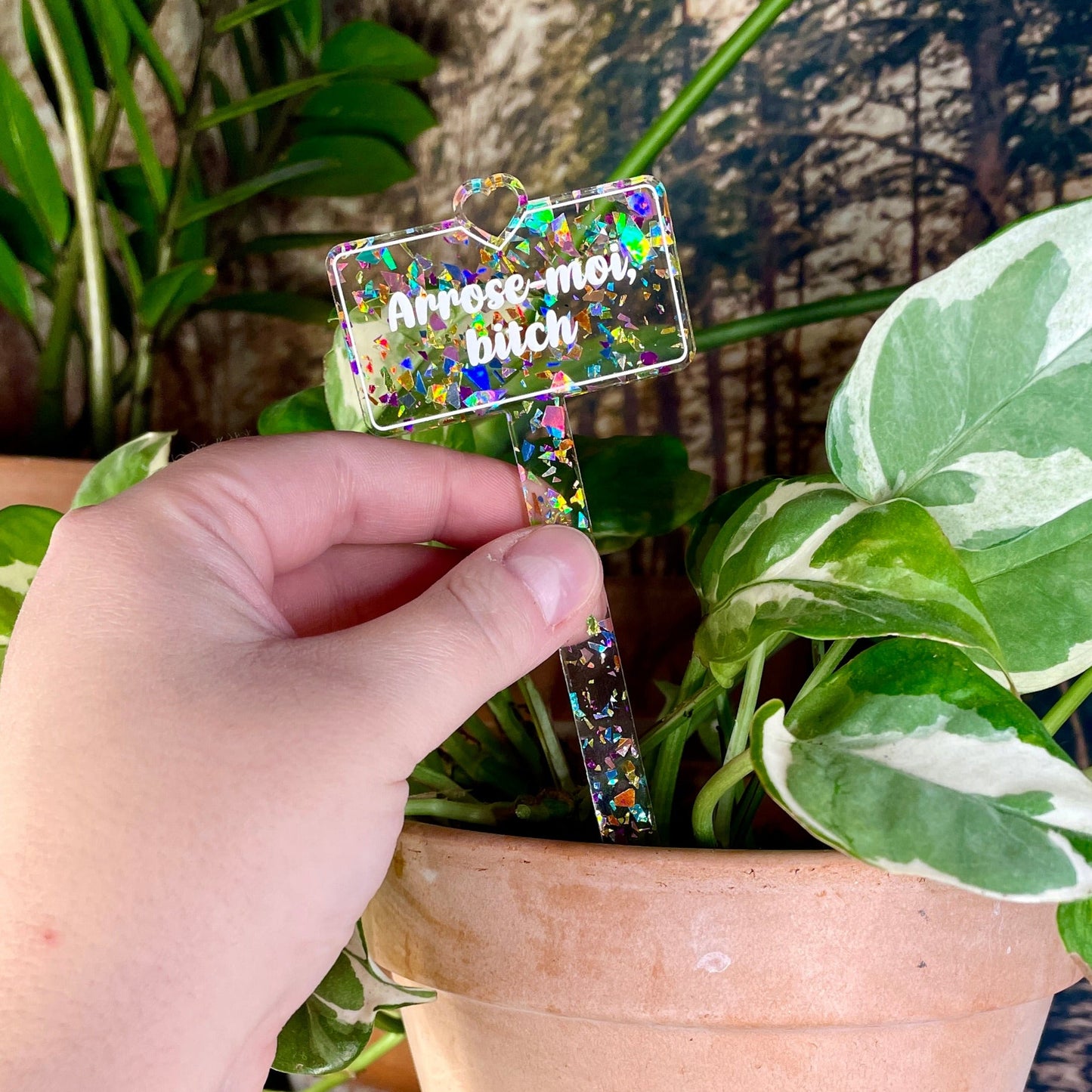 [CONTRÔLE TECHNIQUE] Pic à plante "Arrose-moi, bitch" en acrylique transparente avec des éclats de confettis multicolores