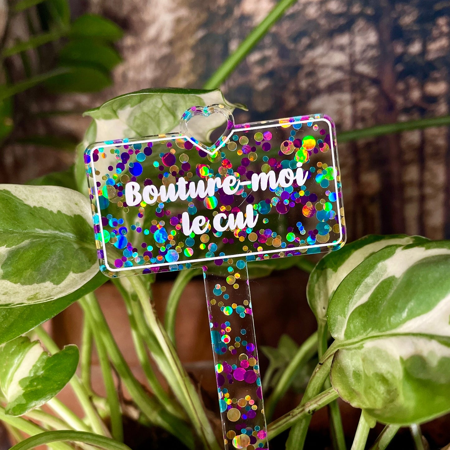 Pic à plante "Bouture-moi le cul" en acrylique à pois violets, bleus et jaunes