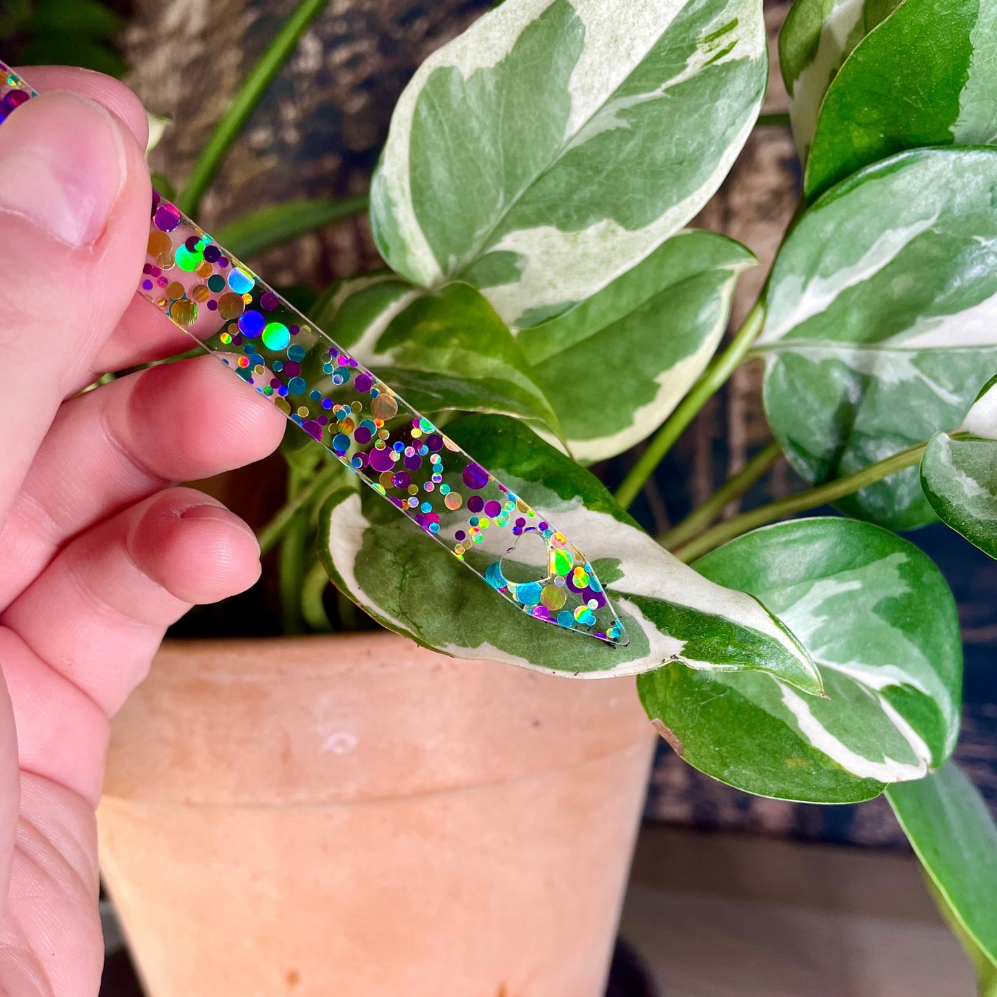 [CONTRÔLE TECHNIQUE] Pic à plante "Bouture-moi le cul" en acrylique à pois violets, bleus et jaunes