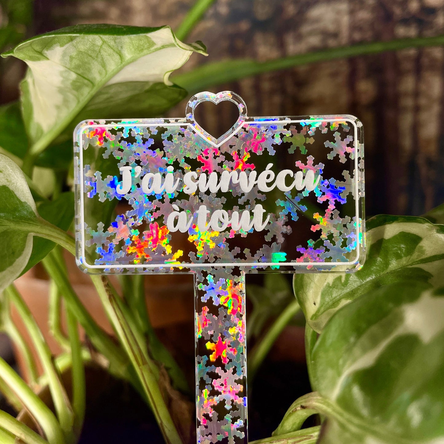 Pic à plante "J'ai survécu à tout" en acrylique transparente avec des flocons holographiques