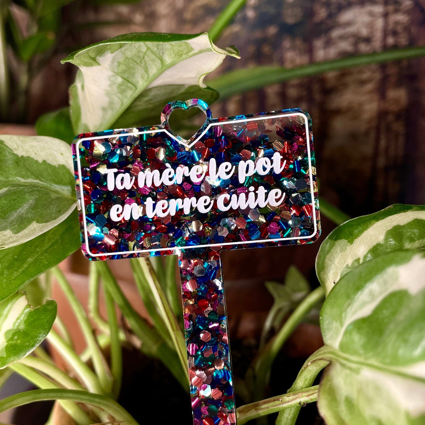 Pic à plante "Ta mère le pot en terre cuite" en acrylique à confettis multicolores