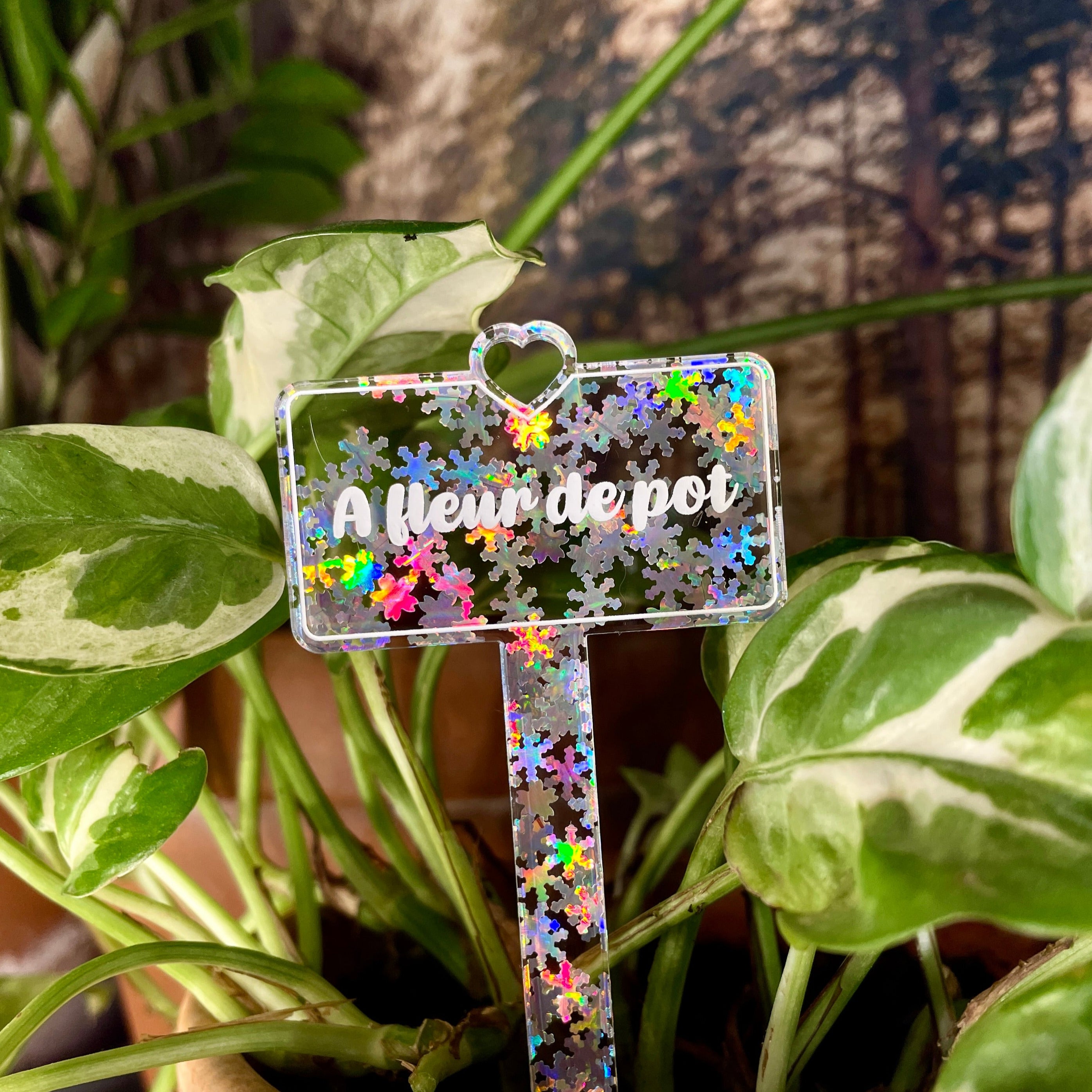 Pic à plante Une feuille à la fois en acrylique transparente avec de –  Laura Coupeau