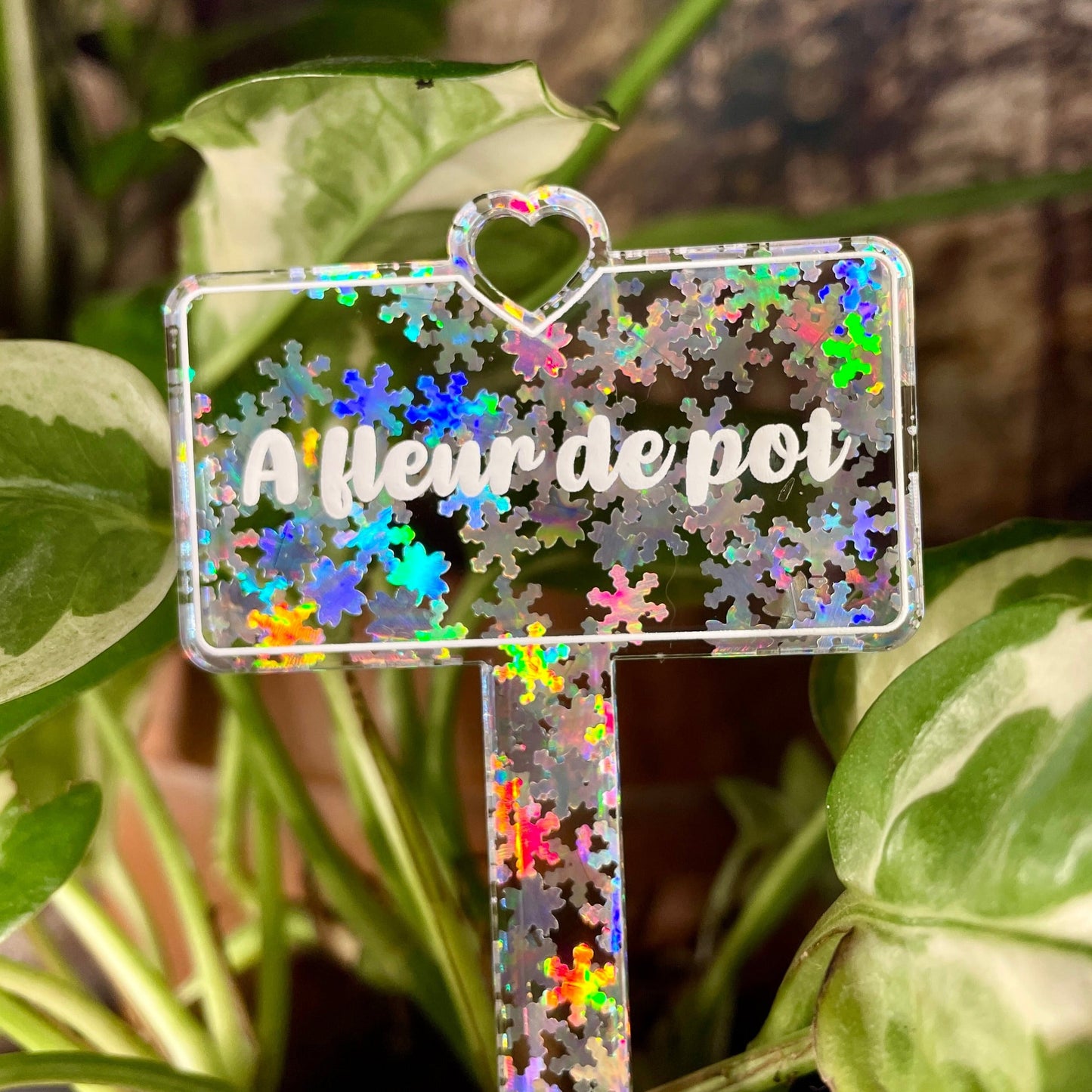 [CONTRÔLE TECHNIQUE] Pic à plante "A fleur de pot" en acrylique transparente avec des flocons holographiques
