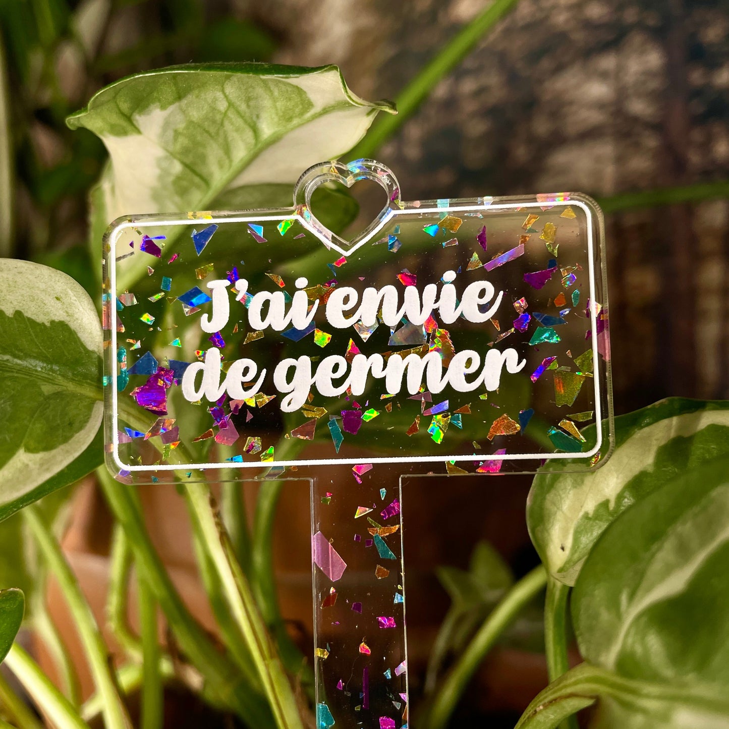 Pic à plante "J'ai envie de germer" en acrylique transparente avec des éclats de confettis multicolores