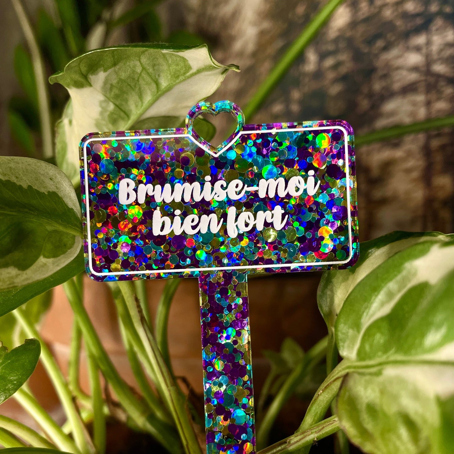 [CONTRÔLE TECHNIQUE] Pic à plante "Brumise-moi bien fort" en acrylique à pois violets, bleus et jaunes