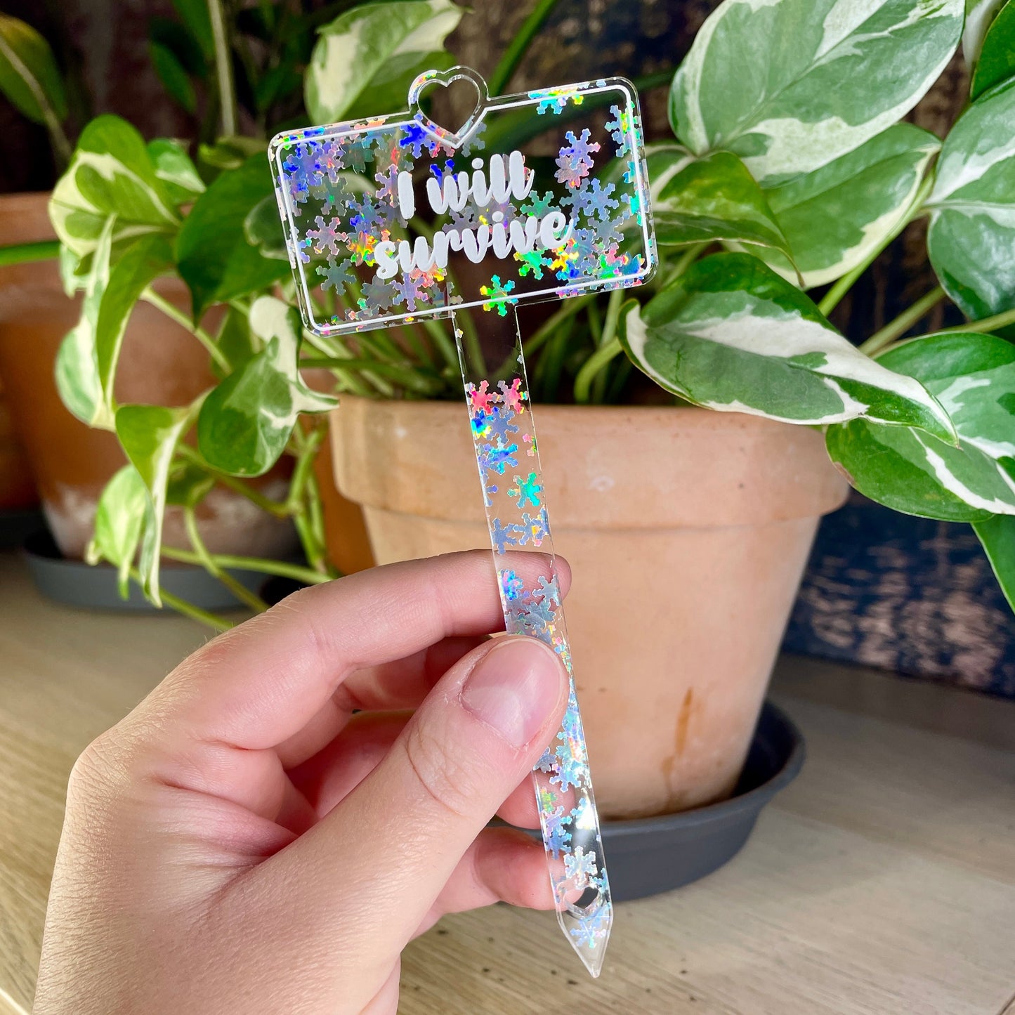 Pic à plante "I will survive" en acrylique transparente avec des flocons holographiques