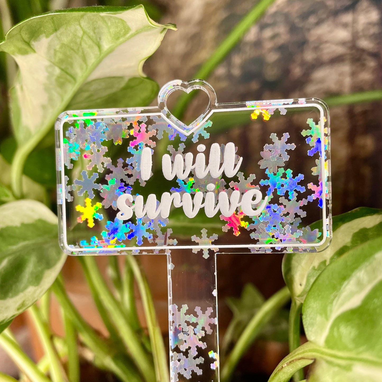 Pic à plante "I will survive" en acrylique transparente avec des flocons holographiques