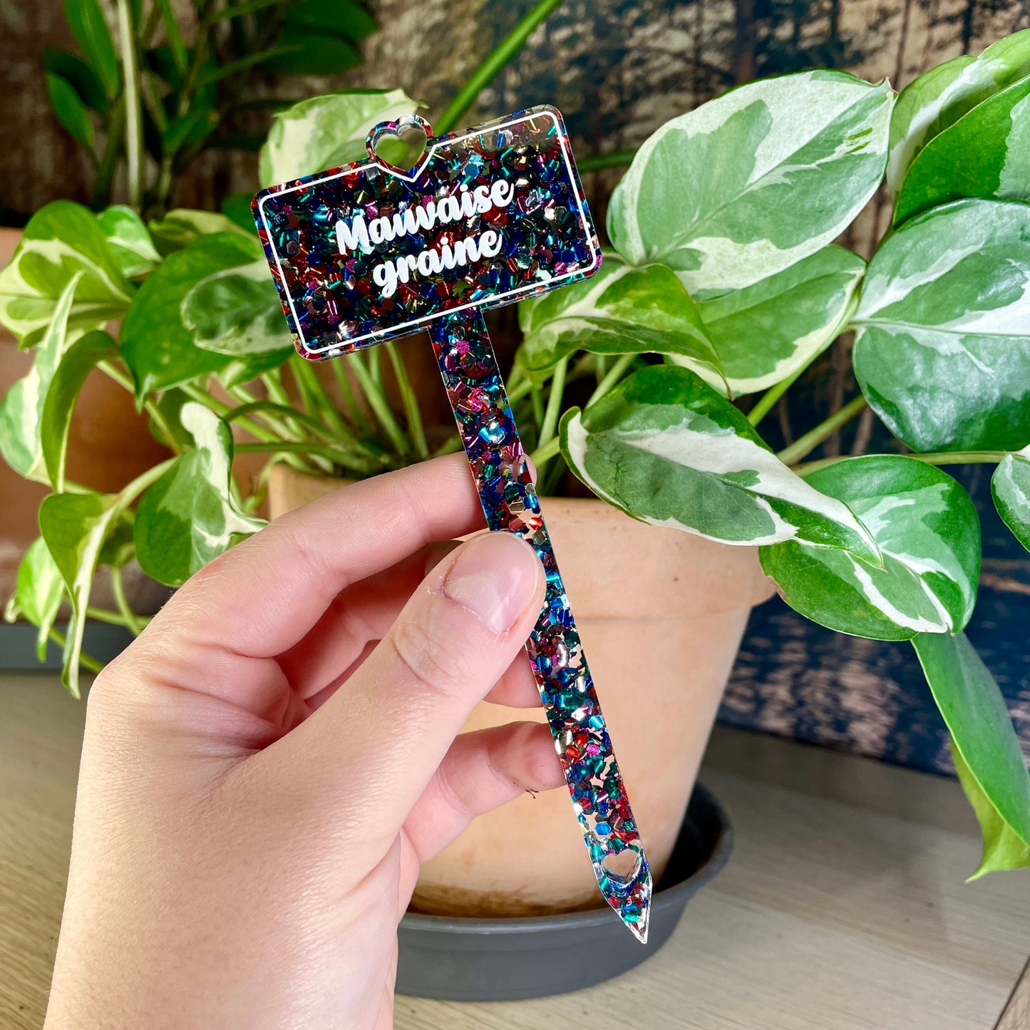 [CONTRÔLE TECHNIQUE] Pic à plante "Mauvaise graine" en acrylique à confettis multicolores