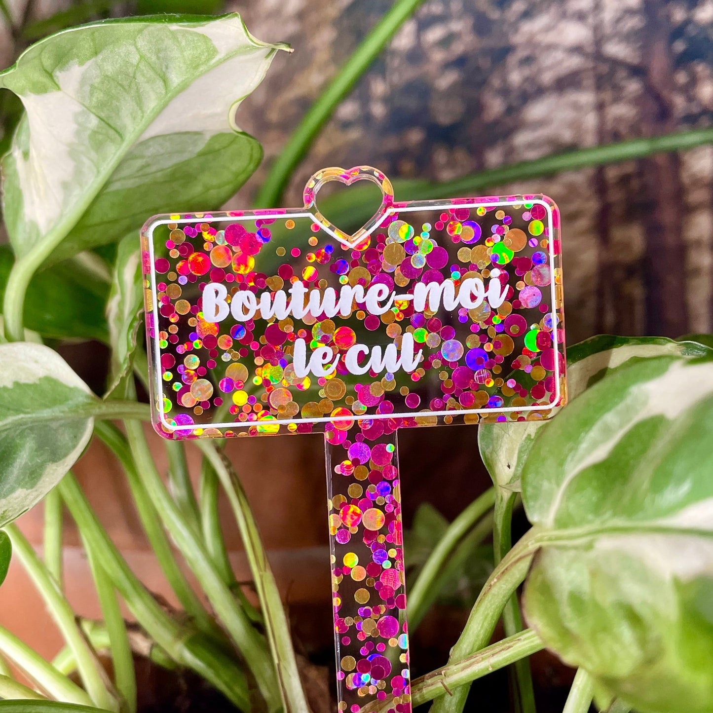 [CONTRÔLE TECHNIQUE] Pic à plante "Bouture-moi le cul" en acrylique à pois jaunes et roses