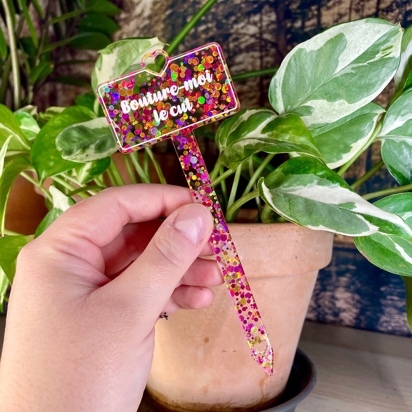 [CONTRÔLE TECHNIQUE] Pic à plante "Bouture-moi le cul" en acrylique à pois jaunes et roses