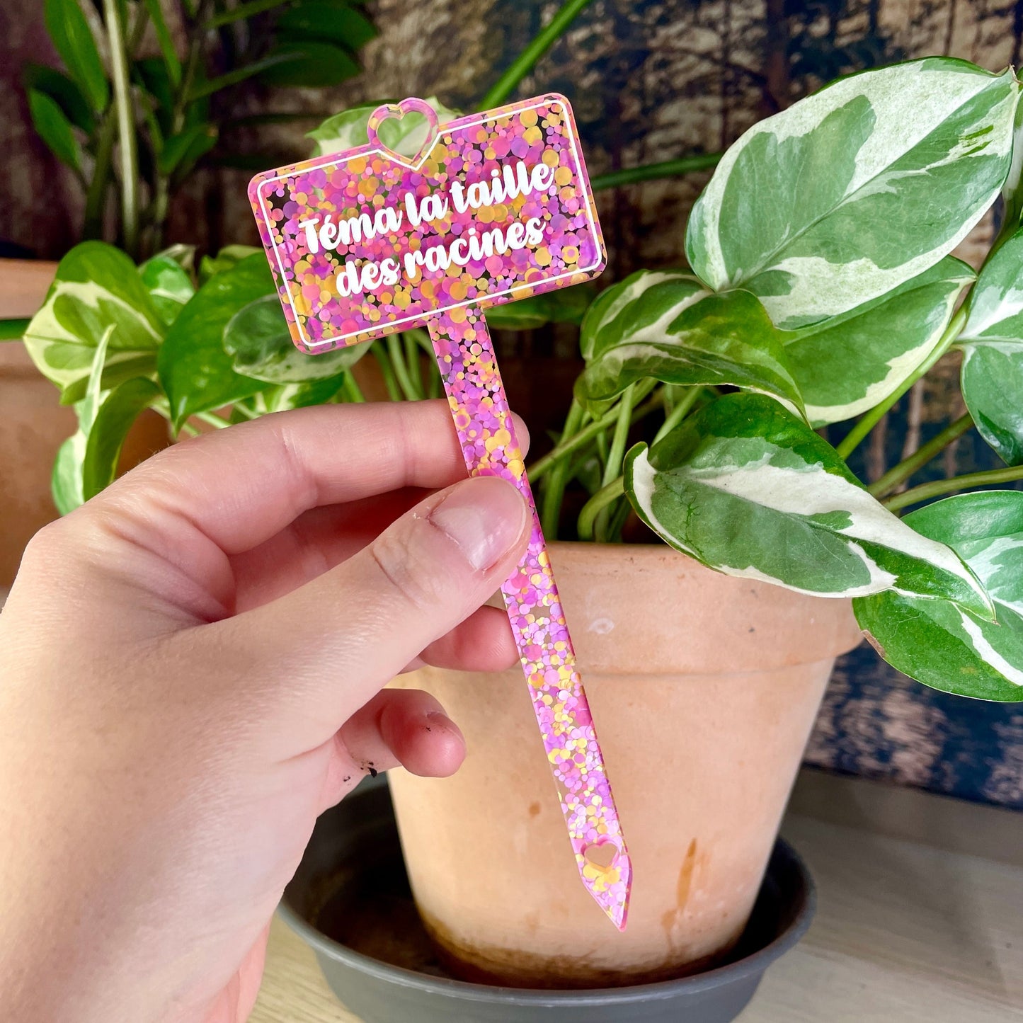 [CONTRÔLE TECHNIQUE] Pic à plante "Téma la taille des racines " en acrylique à pois roses et oranges