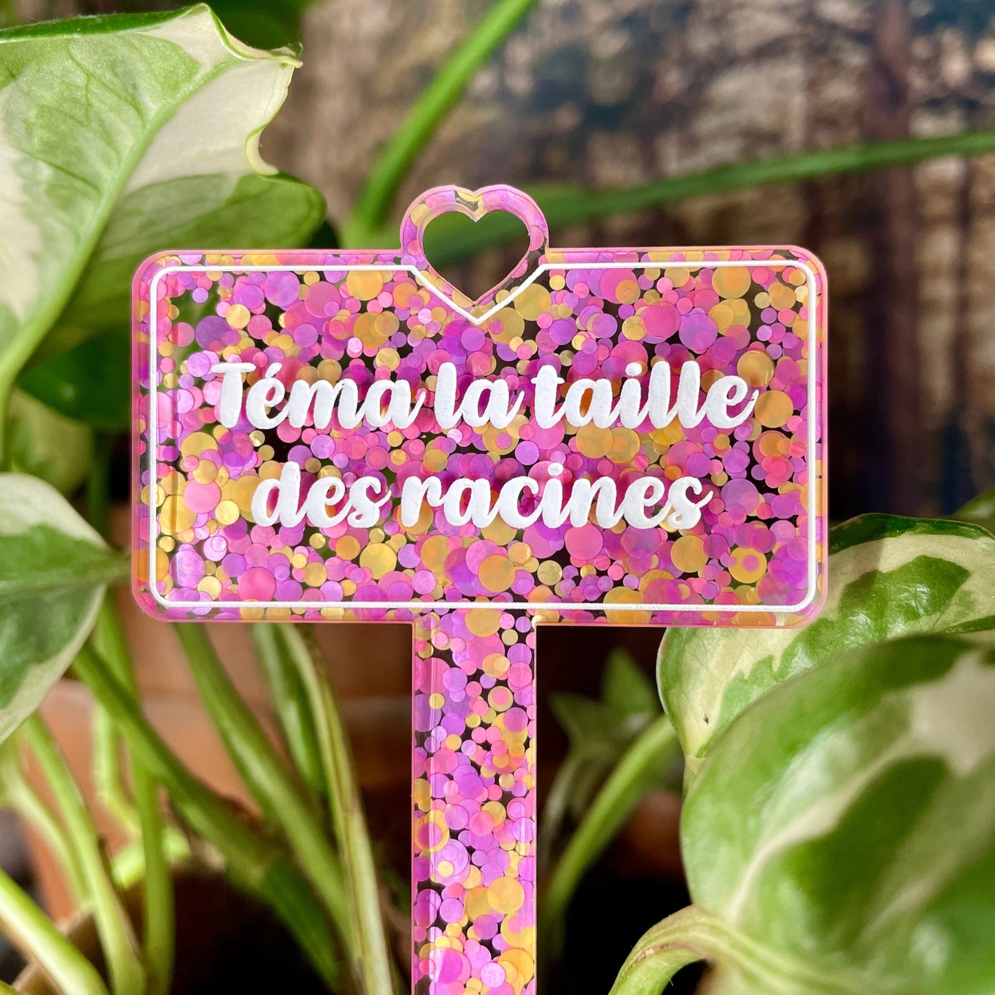 [CONTRÔLE TECHNIQUE] Pic à plante "Téma la taille des racines " en acrylique à pois roses et oranges