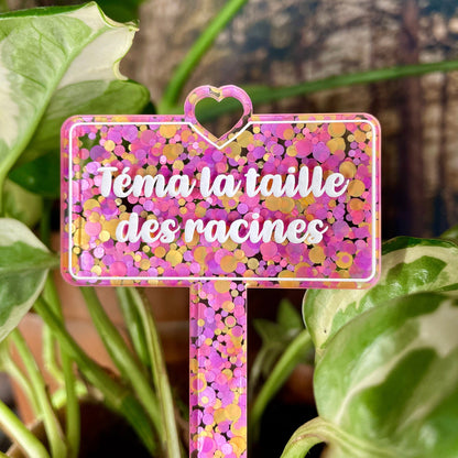 [CONTRÔLE TECHNIQUE] Pic à plante "Téma la taille des racines " en acrylique à pois roses et oranges