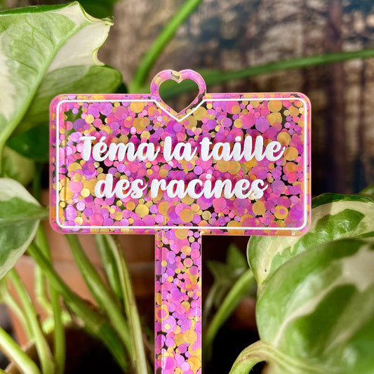 [CONTRÔLE TECHNIQUE] Pic à plante "Téma la taille des racines " en acrylique à pois roses et oranges