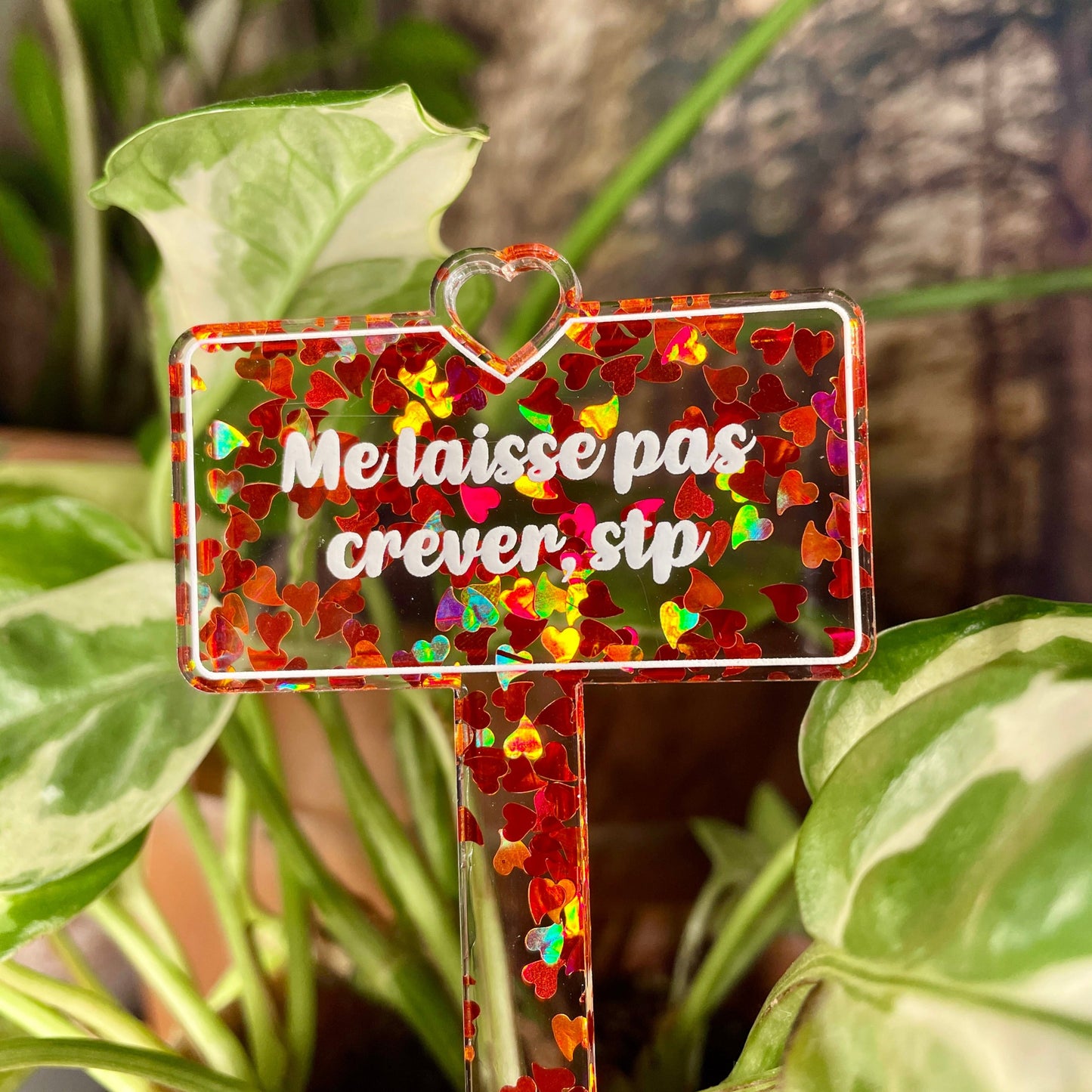 [CONTRÔLE TECHNIQUE] Pic à plante "Me laisse pas crever, stp" en acrylique transparente à confettis en petits coeurs oranges