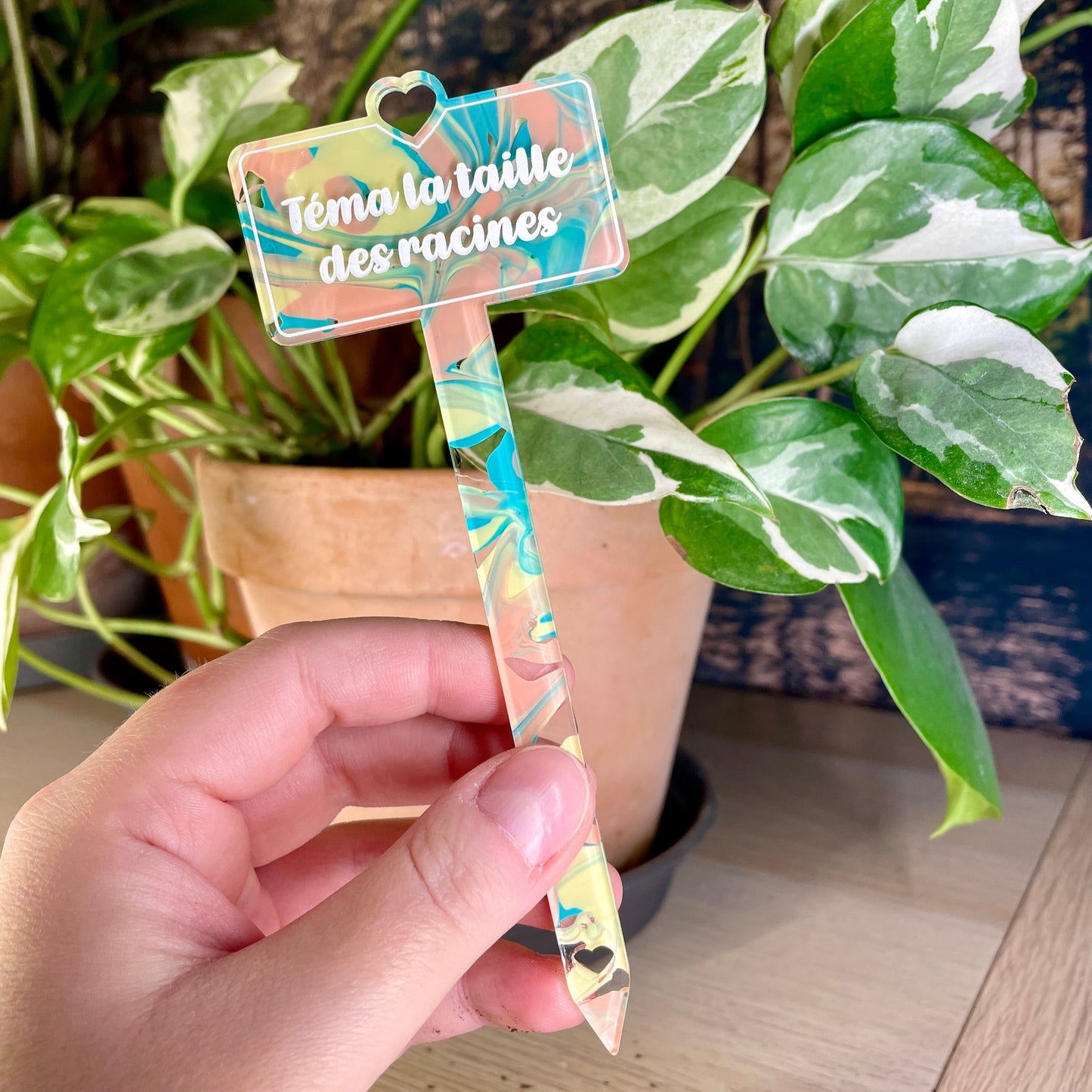 [CONTRÔLE TECHNIQUE] Pic à plante "Téma la taille des racines" en acrylique marbrée pastel jaune, verte et corail